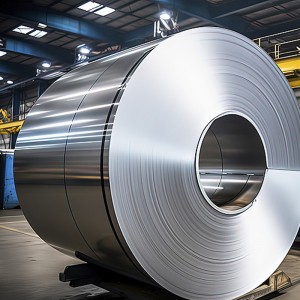 Hastelloy® B-2 Alloy Strips & Coils