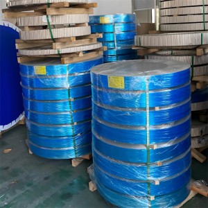 Hastelloy C-2000 Alloy Strips & Coils
