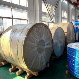 Hastelloy C-2000 Alloy Strips & Coils