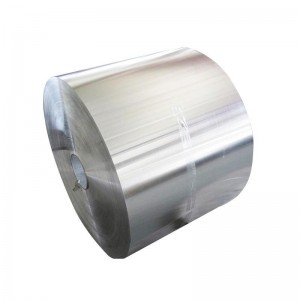 Hastelloy C-276 Alloy Strips & Coils