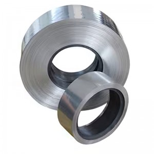 Hastelloy X Alloy Strips & Coils