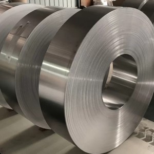 Haynes 282 Alloy Strips & Coils