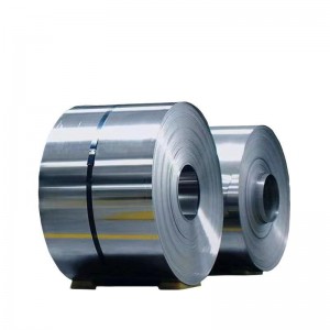 Hastelloy® B-3 Alloy Strips & Coils