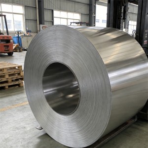 Hastelloy C-22 Alloy Strips & Coils