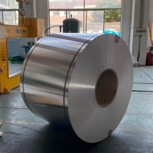 Hastelloy® B-3 Alloy Strips & Coils