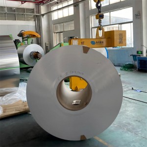Hastelloy® B-3 Alloy Strips & Coils